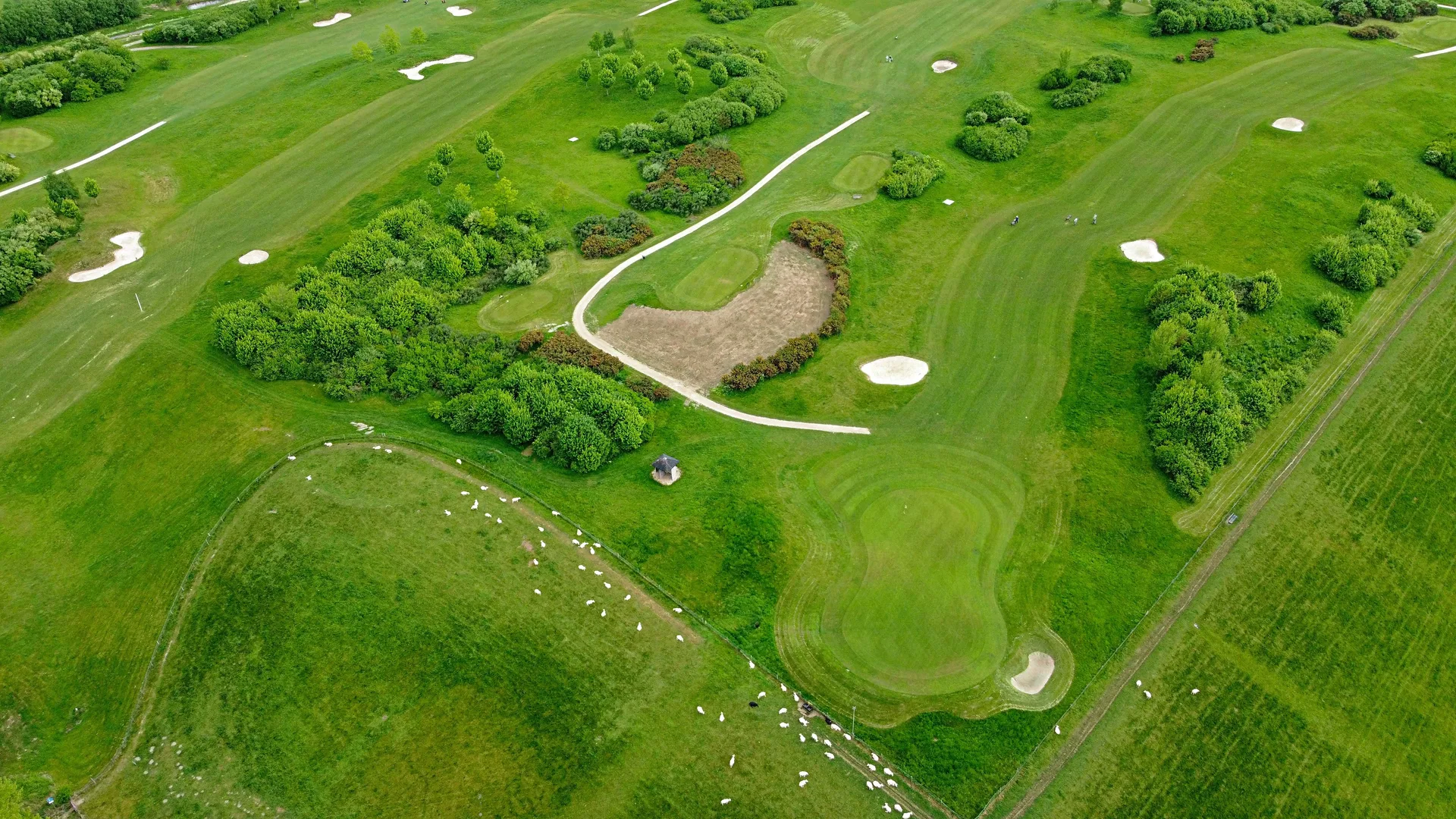 Aerial view of a golf course