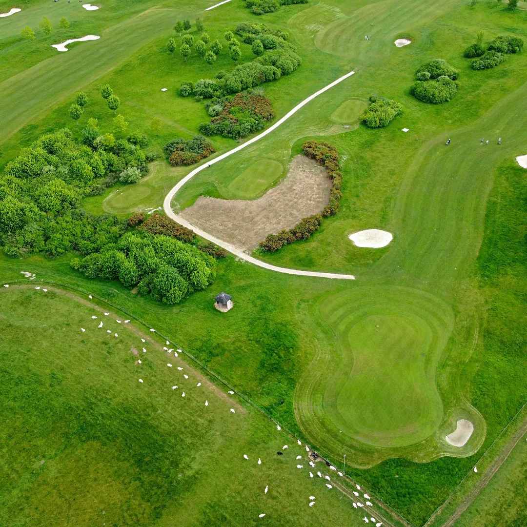 Aerial view of a golf course