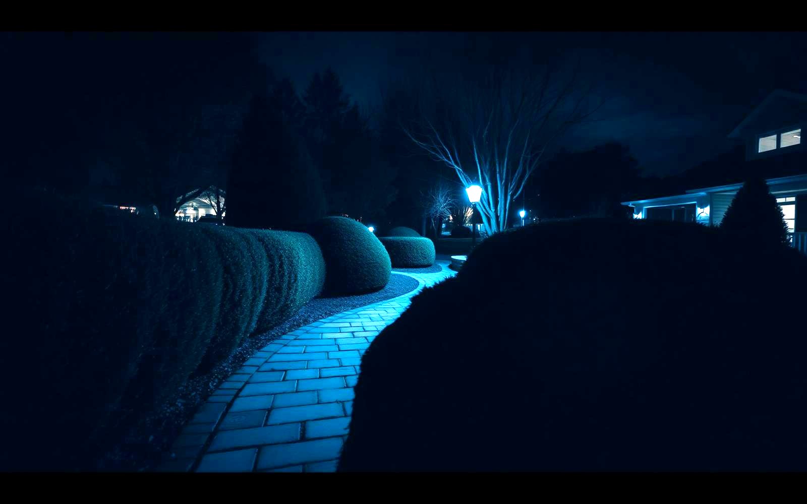 Finished landscape hardscape walkway at dusk